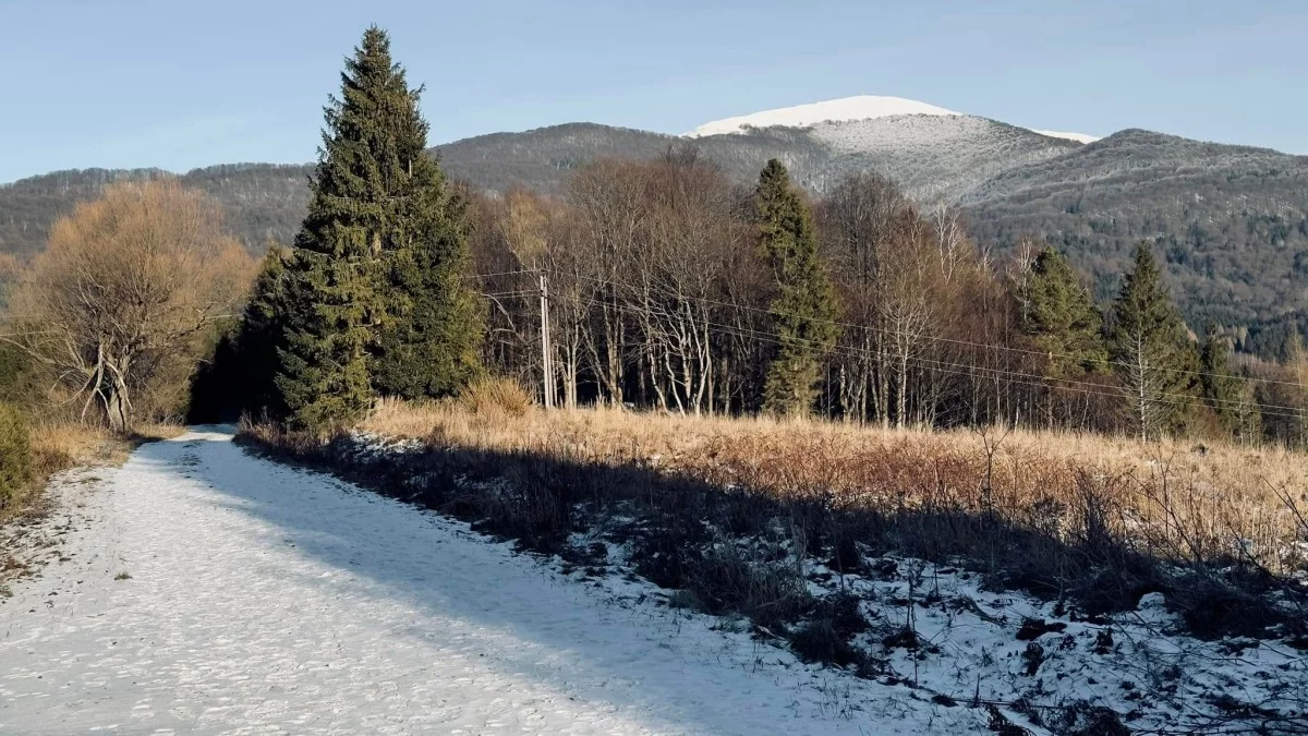 Bieszczady. Pogoda i warunki górskie na dziś. Sobota 28 grudnia - Zdjęcie główne