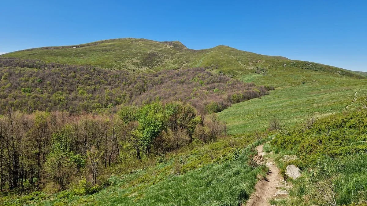 Bieszczady. Pogoda i warunki górskie na dziś. Środa, 15 maja - Zdjęcie główne