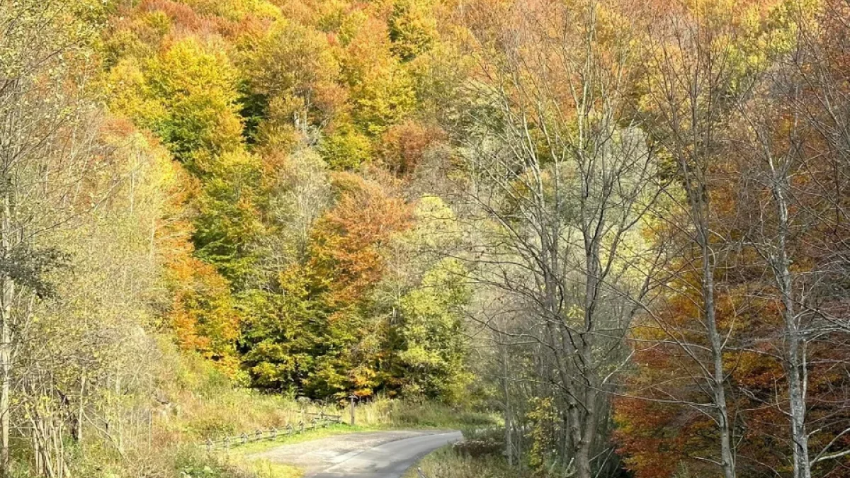 Bieszczady. Pogoda i warunki górskie na dziś. Poniedziałek, 23 października - Zdjęcie główne