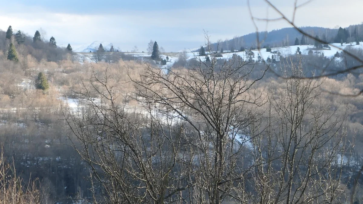 Bieszczady. Pogoda i warunki górskie na dziś. Wtorek, 02 stycznia - Zdjęcie główne