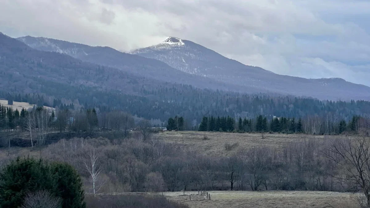 Bieszczady. Pogoda i warunki górskie na dziś. Poniedziałek, 12 lutego - Zdjęcie główne