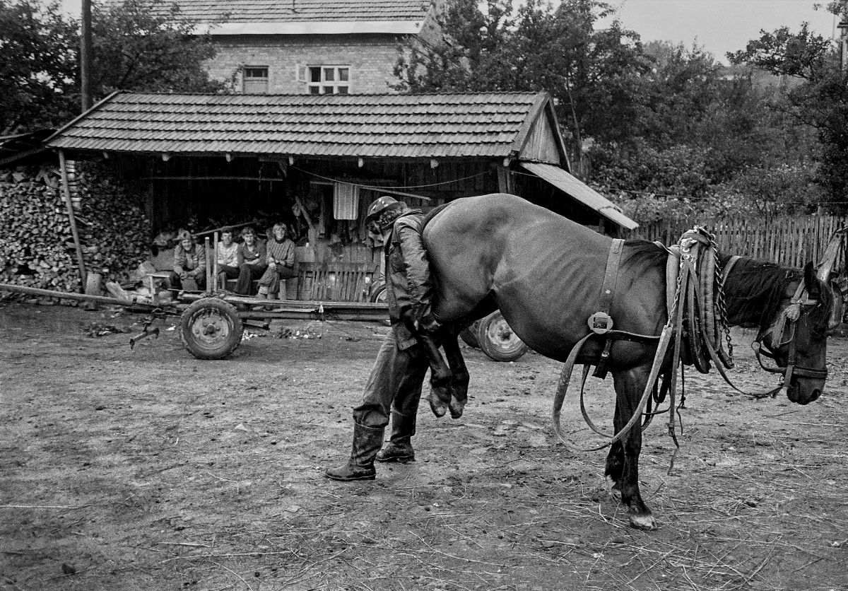 Średnia Wieś 1979