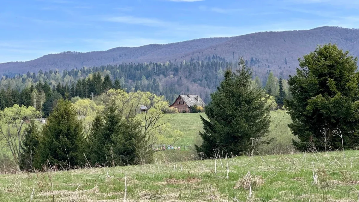 Bieszczady. Pogoda i warunki górskie na dziś. Niedziela, 14 kwietnia - Zdjęcie główne