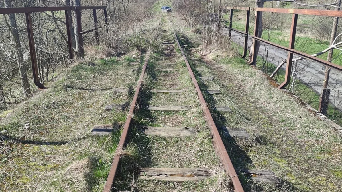 Trwają prace nad reaktywacją wąskotorowej kolejki leśnej w gminie Komańcza. Ma to być ważny punkt na mapie turystycznej - Zdjęcie główne