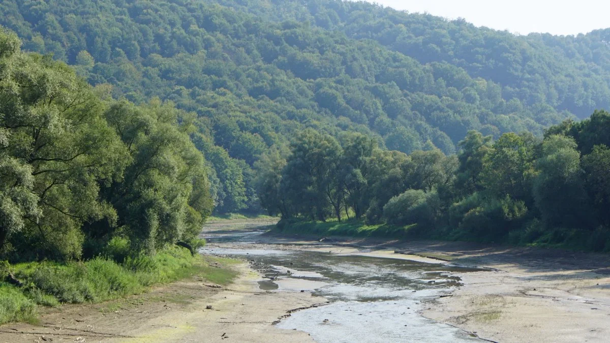 Bieszczady nadal zagrożone ekstremalnymi pożarami lasów. Kiedy nastąpi zmiana? - Zdjęcie główne