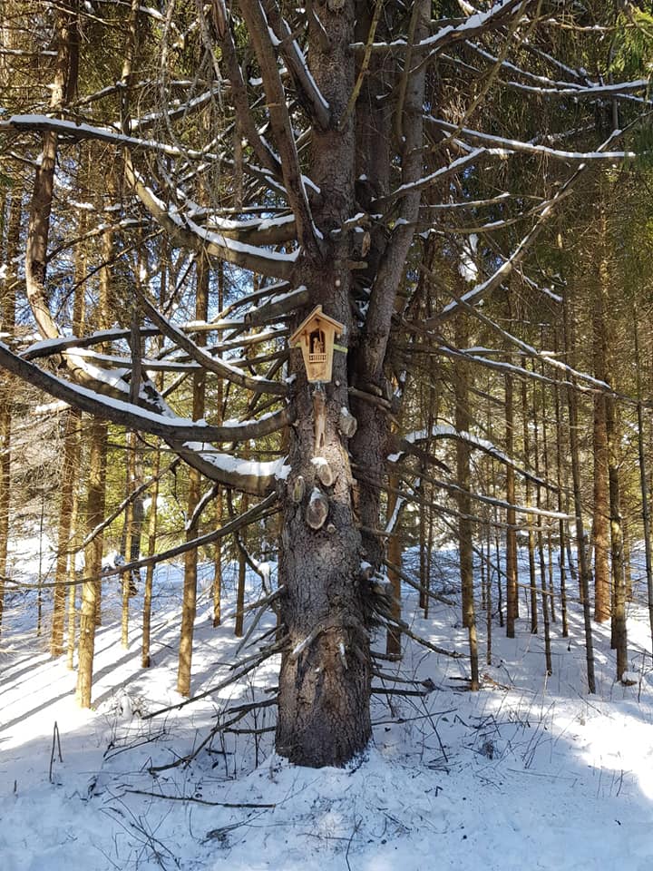 Kapliczka z Chrystusem Frasobliwym