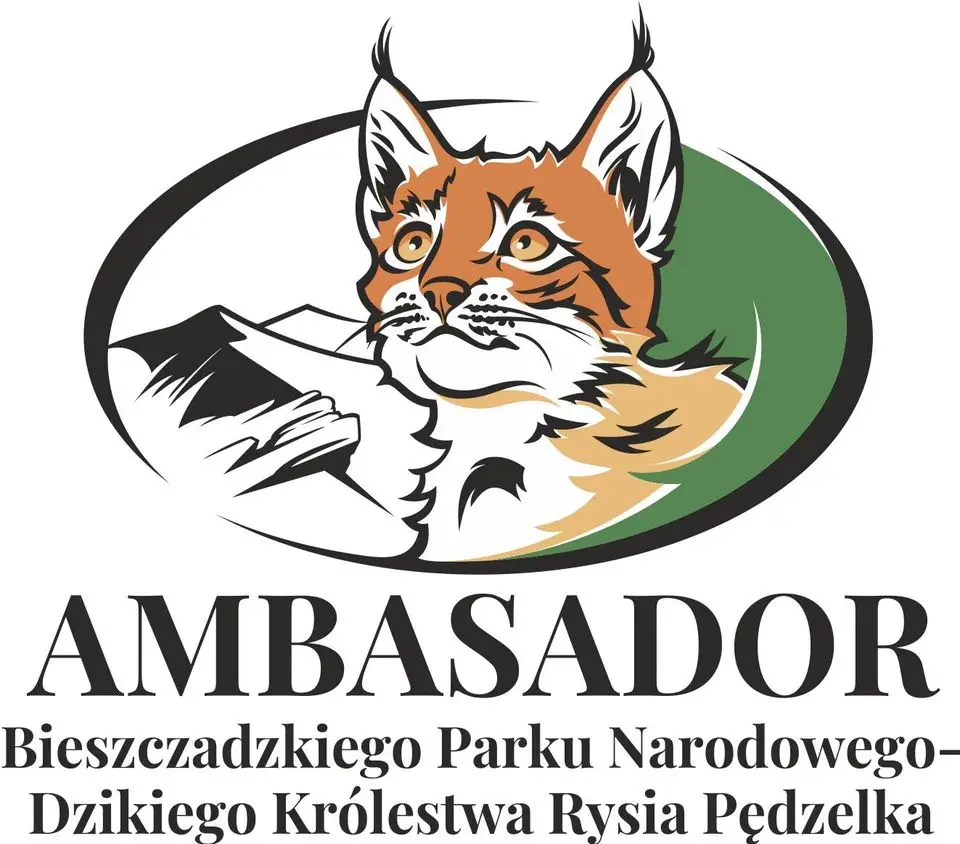 Zostań medialnym ambasadorem Bieszczadzkiego Parku Narodowego [VIDEO] - Zdjęcie główne