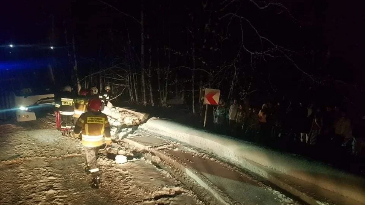 Autobus przewożący dzieci wjechał do rowu. Potrzebna była pomoc strażaków - Zdjęcie główne