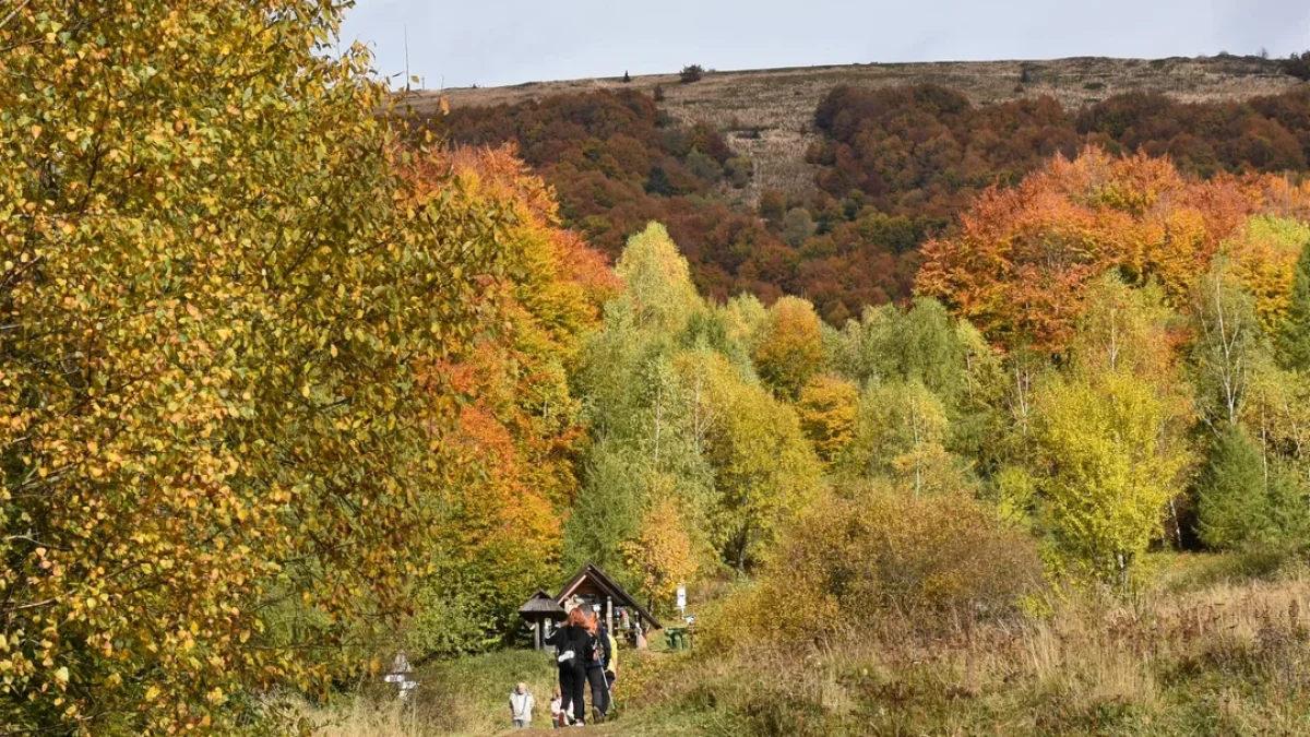 Bieszczady. Pogoda i warunki górskie na dziś. Wtorek, 24 października - Zdjęcie główne