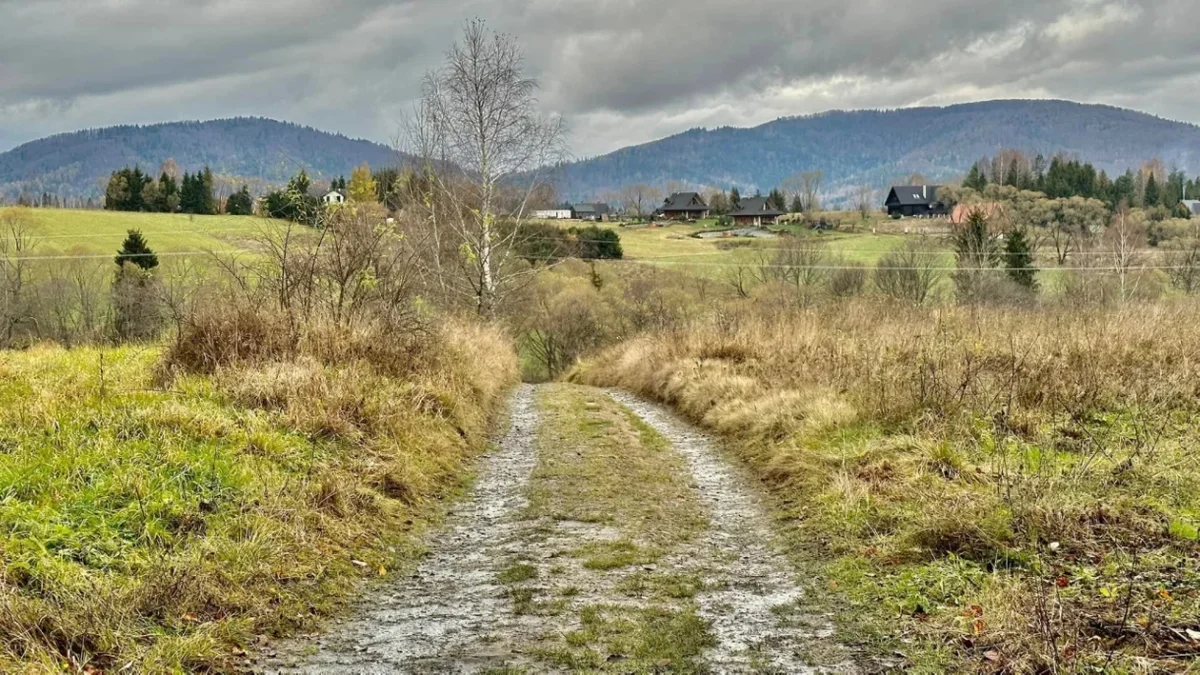 Bieszczady. Pogoda i warunki górskie na dziś. Wtorek, 14 listopada - Zdjęcie główne