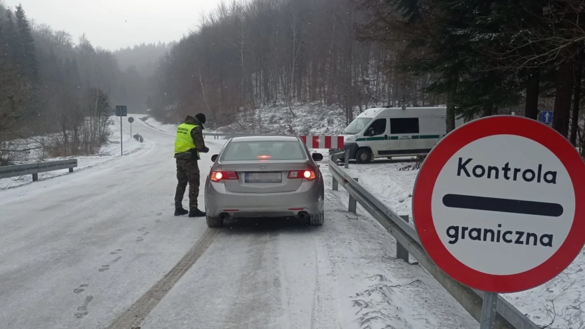 Na granicy w Radoszycach zatrzymano poszukiwanego obywatela Mołdawii. Grozi mu nawet 12 lat więzienia - Zdjęcie główne