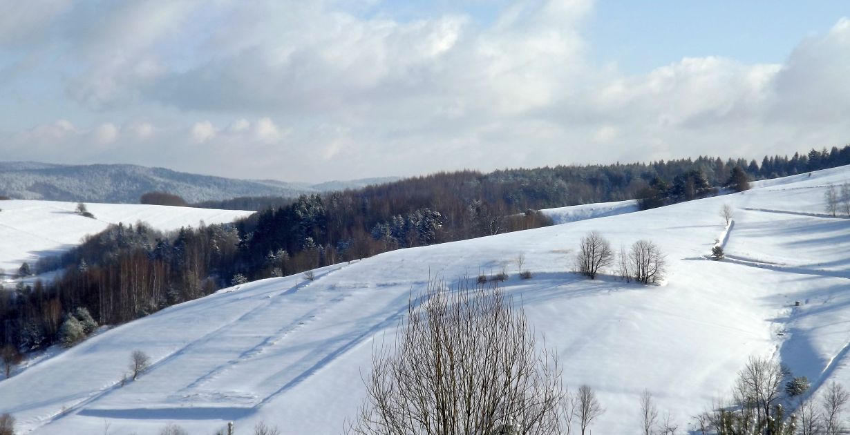 Jaka będzie pogoda w dzień 29 Finału WOŚP? - Zdjęcie główne