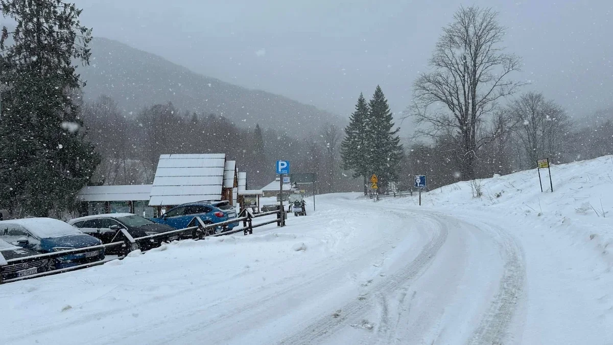 Bieszczady. Pogoda i warunki górskie na dziś. Środa, 24 stycznia - Zdjęcie główne