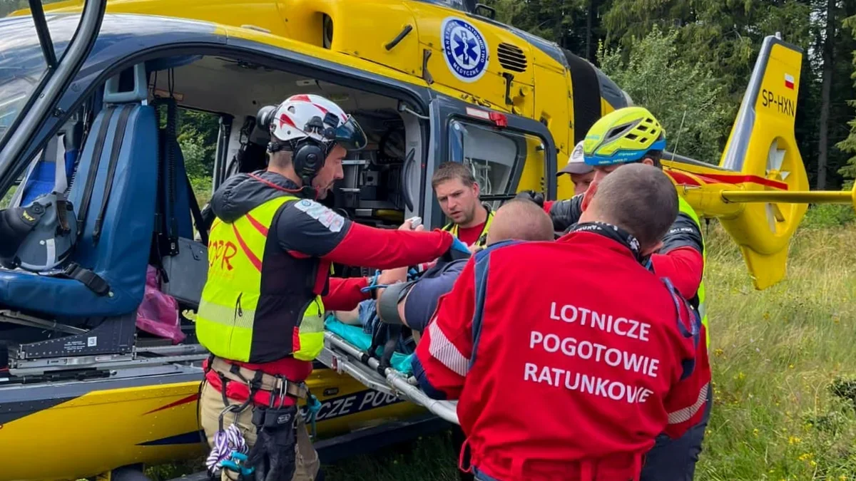 Wypadek komunikacyjny niedaleko Ustrzyk Górnych. Pomocy wymagało pięć osób - Zdjęcie główne