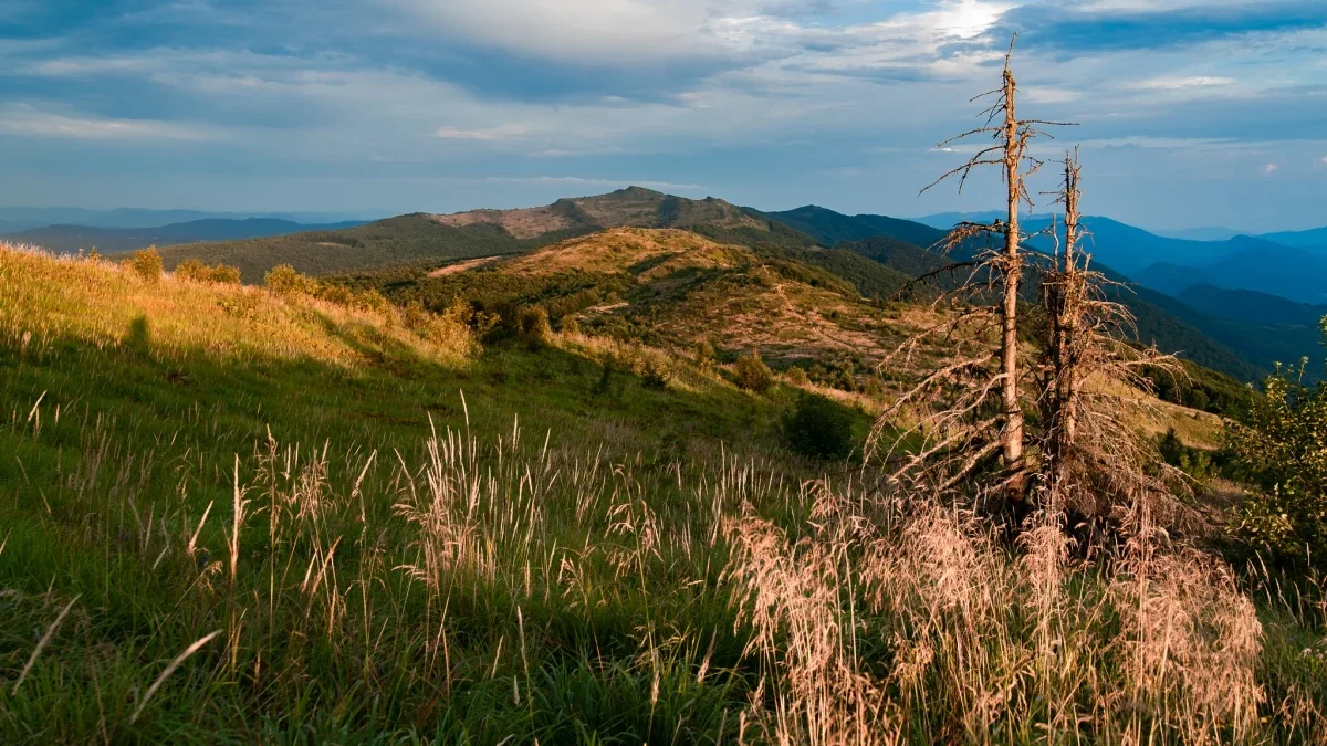 Bieszczady. Pogoda i warunki górskie na dziś. Środa, 13 września - Zdjęcie główne