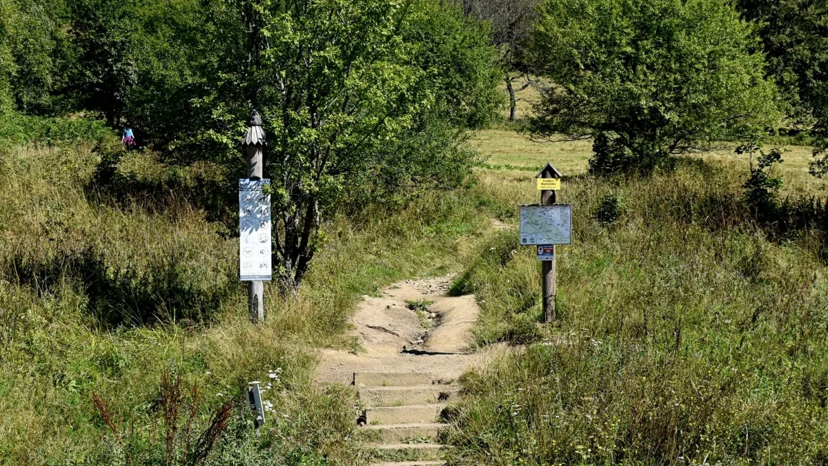 Bieszczady. Pogoda i warunki górskie na dziś. Piątek, 08 września - Zdjęcie główne