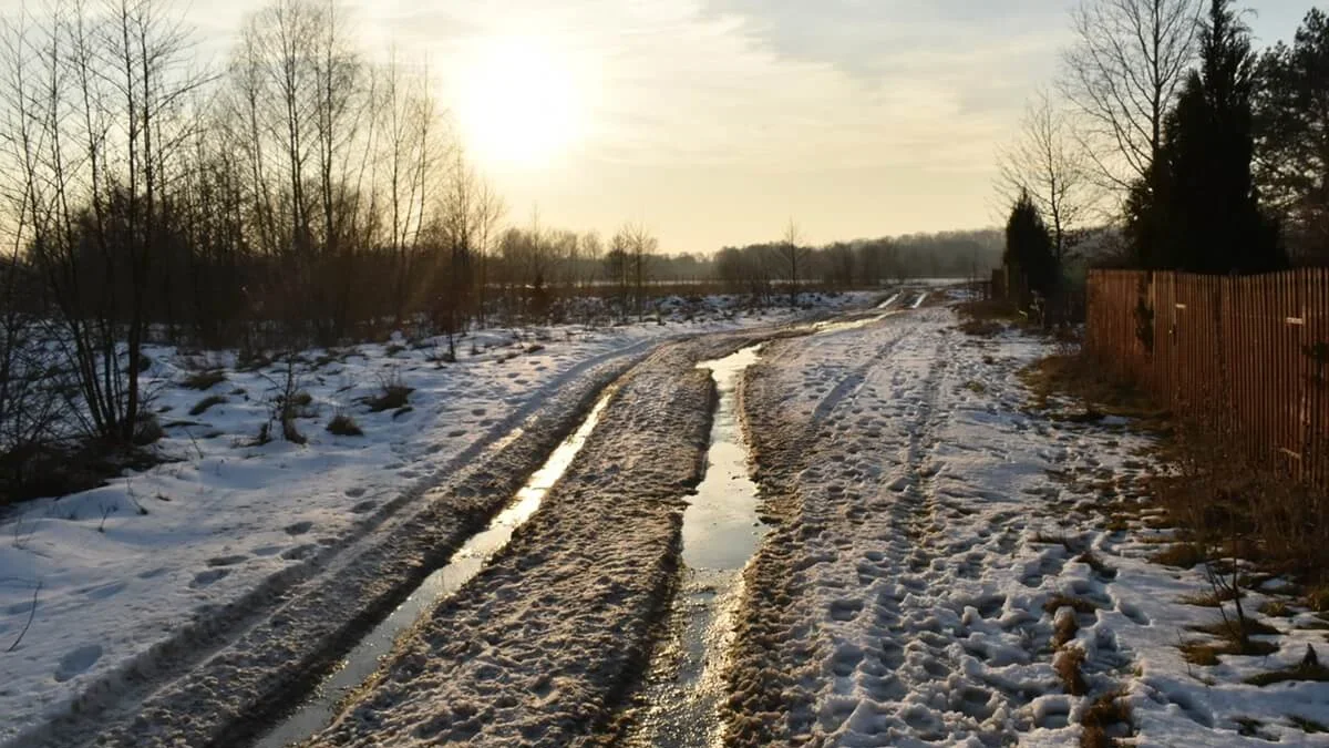 Przed nami kolejna mroźna noc. Instytut Meteorologii wydał ostrzeżenie - Zdjęcie główne