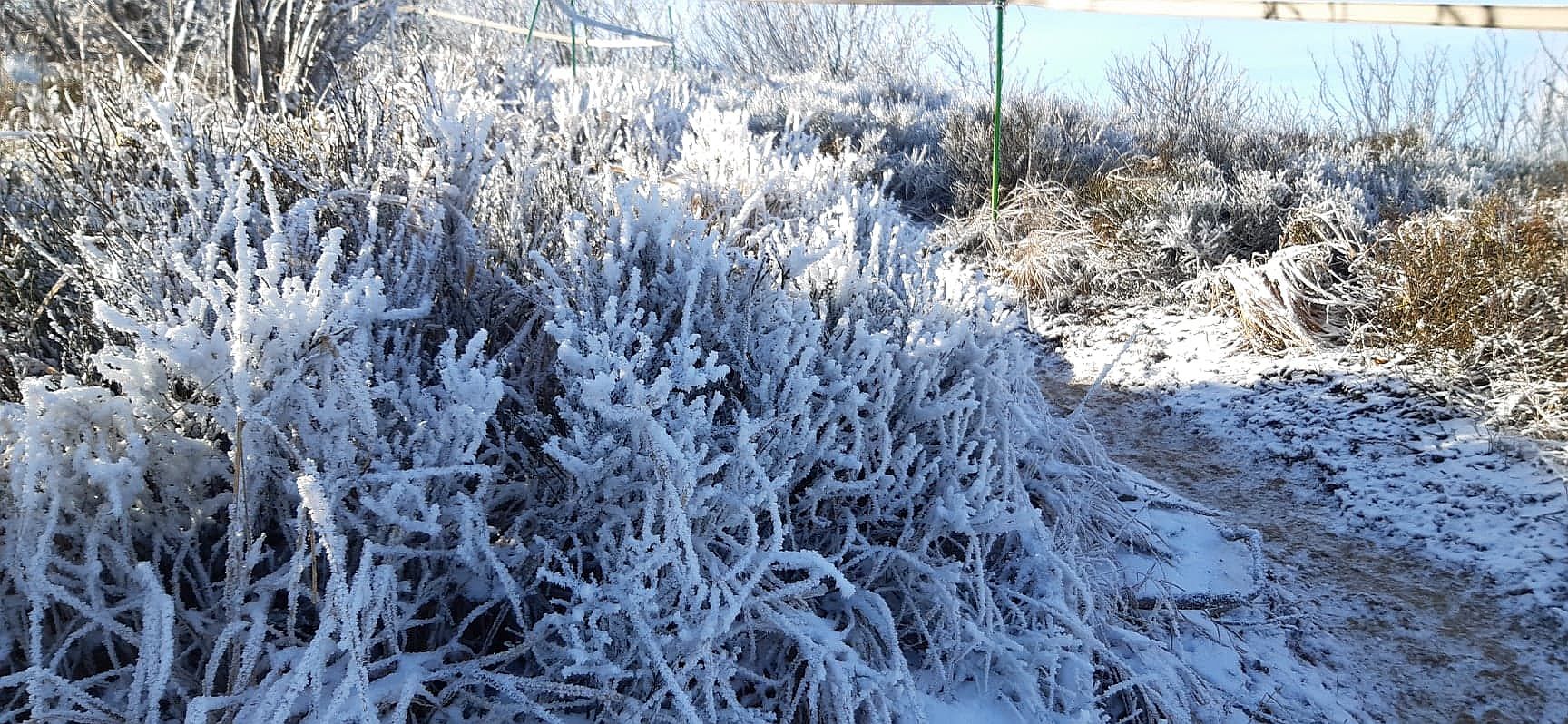 Rawki na przełomie pór roku [FOTO] - Zdjęcie główne