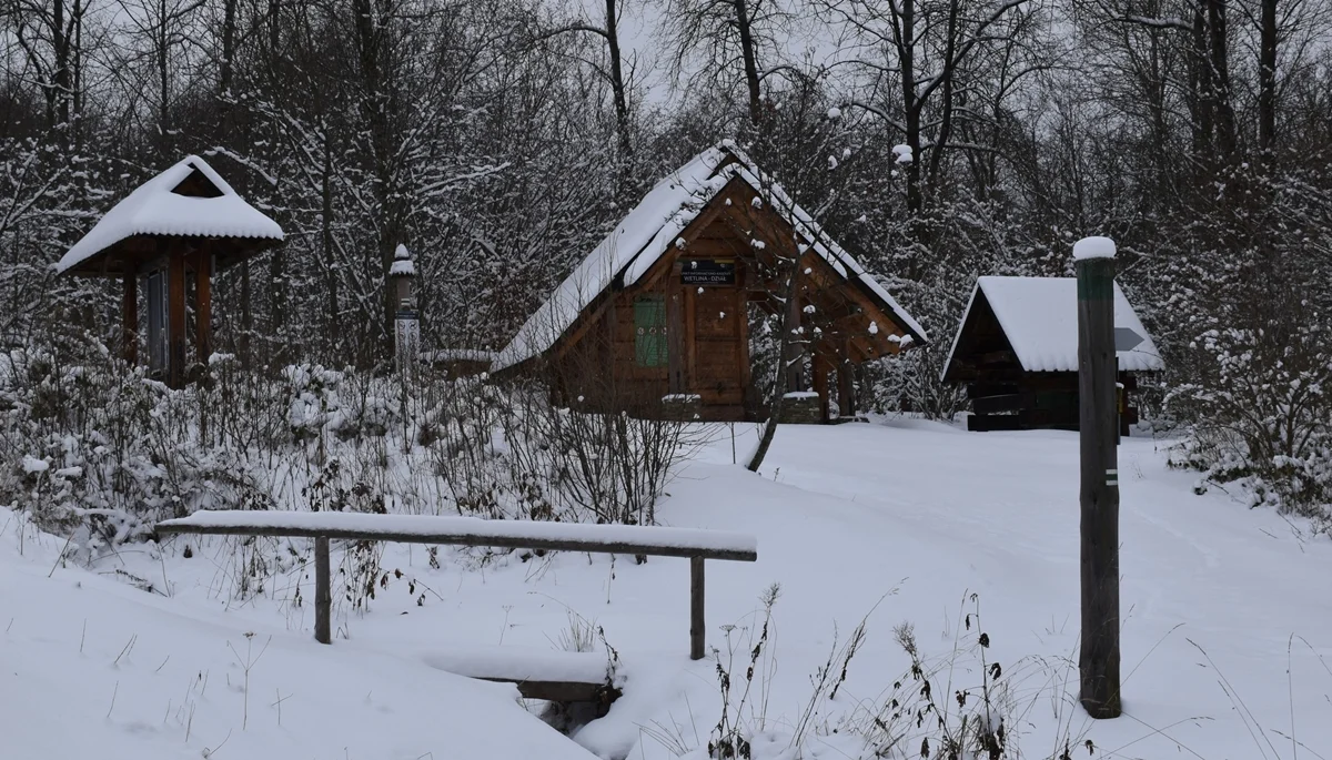 Trudne warunki na szlakach w Bieszczadach. Miejscami utrzymuje się śnieg w granicach 50 centymetrów - Zdjęcie główne