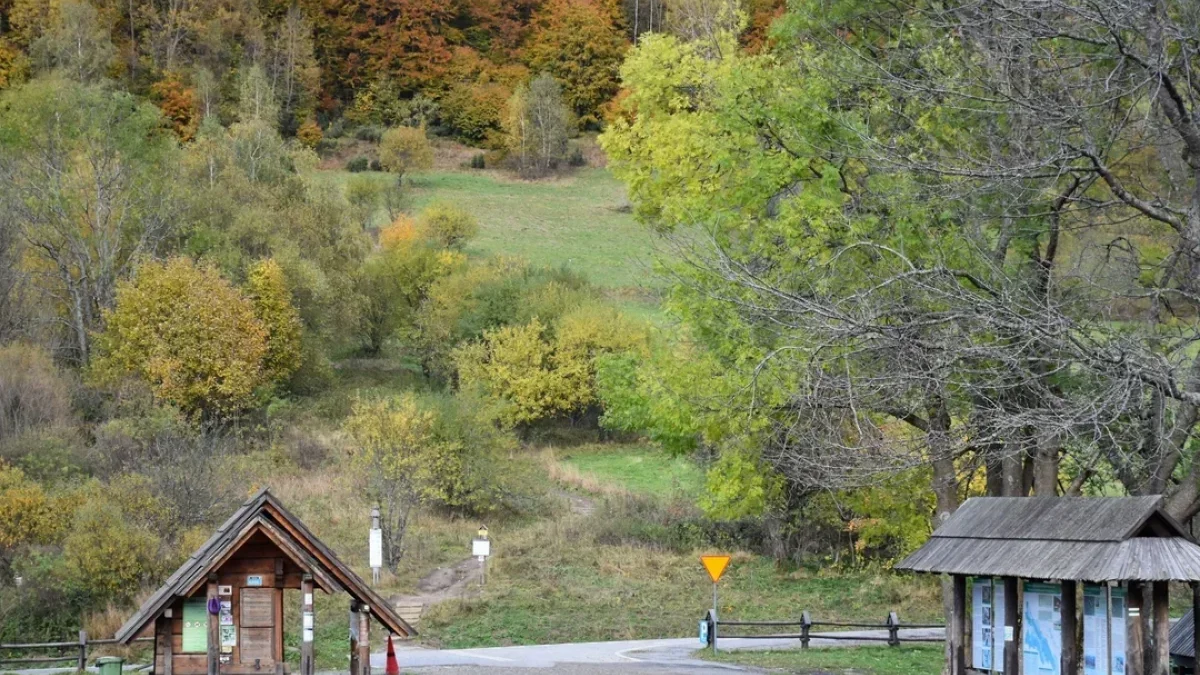 Bieszczady. Pogoda i warunki górskie na dziś. Środa, 01 listopada - Zdjęcie główne