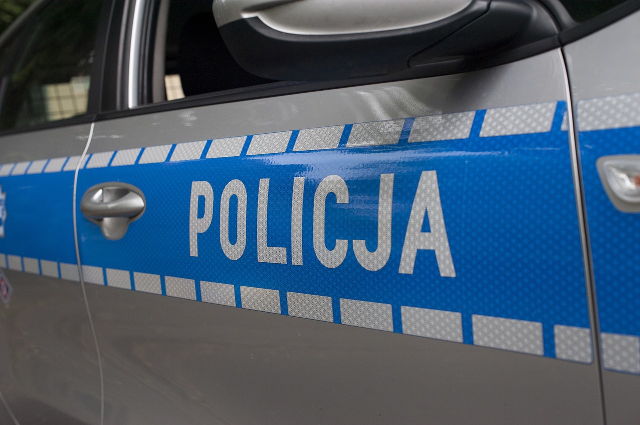 Policjanci z Ustrzyk Dolnych ustalili sprawców sierpniowych kradzieży - Zdjęcie główne
