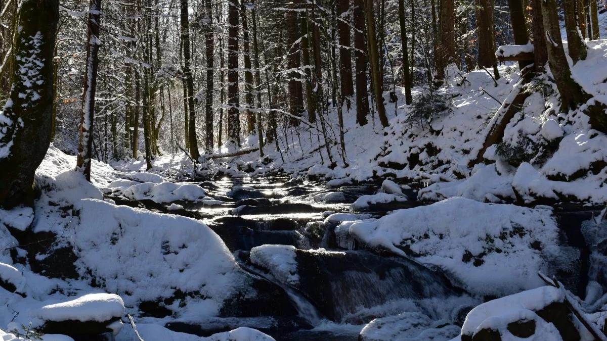 Pogoda Bieszczady. Prognoza na dziś. Czwartek 23 stycznia - Zdjęcie główne